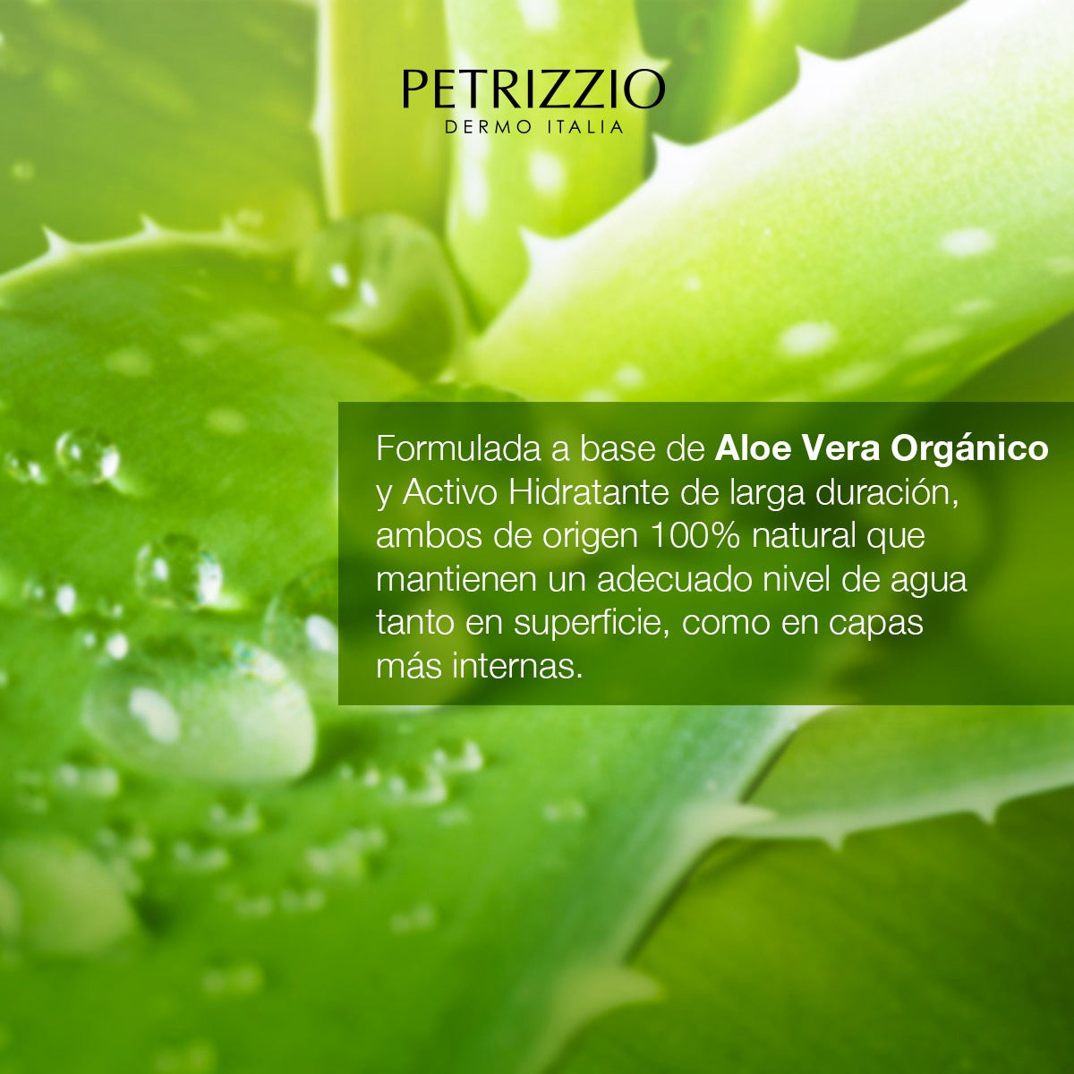 Set de Cremas Antiage Pro Aloe Vera Peptidos