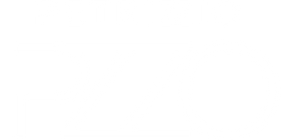 Petrizzio