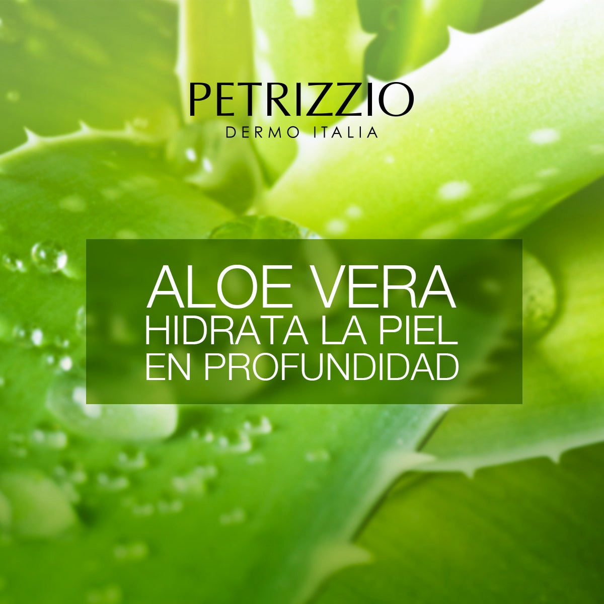 Set de Cremas Antiage Pro Aloe Vera Peptidos