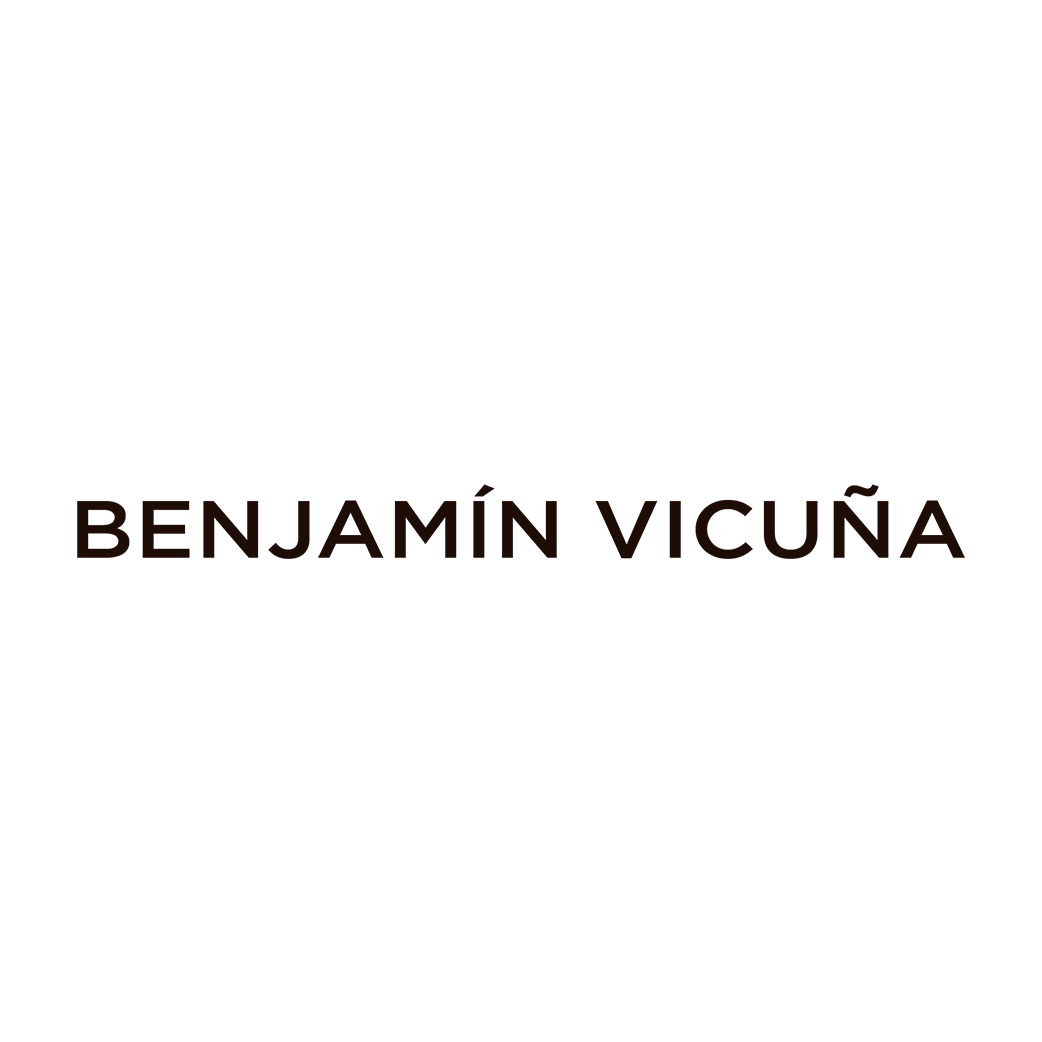 benjamin vicuña logo