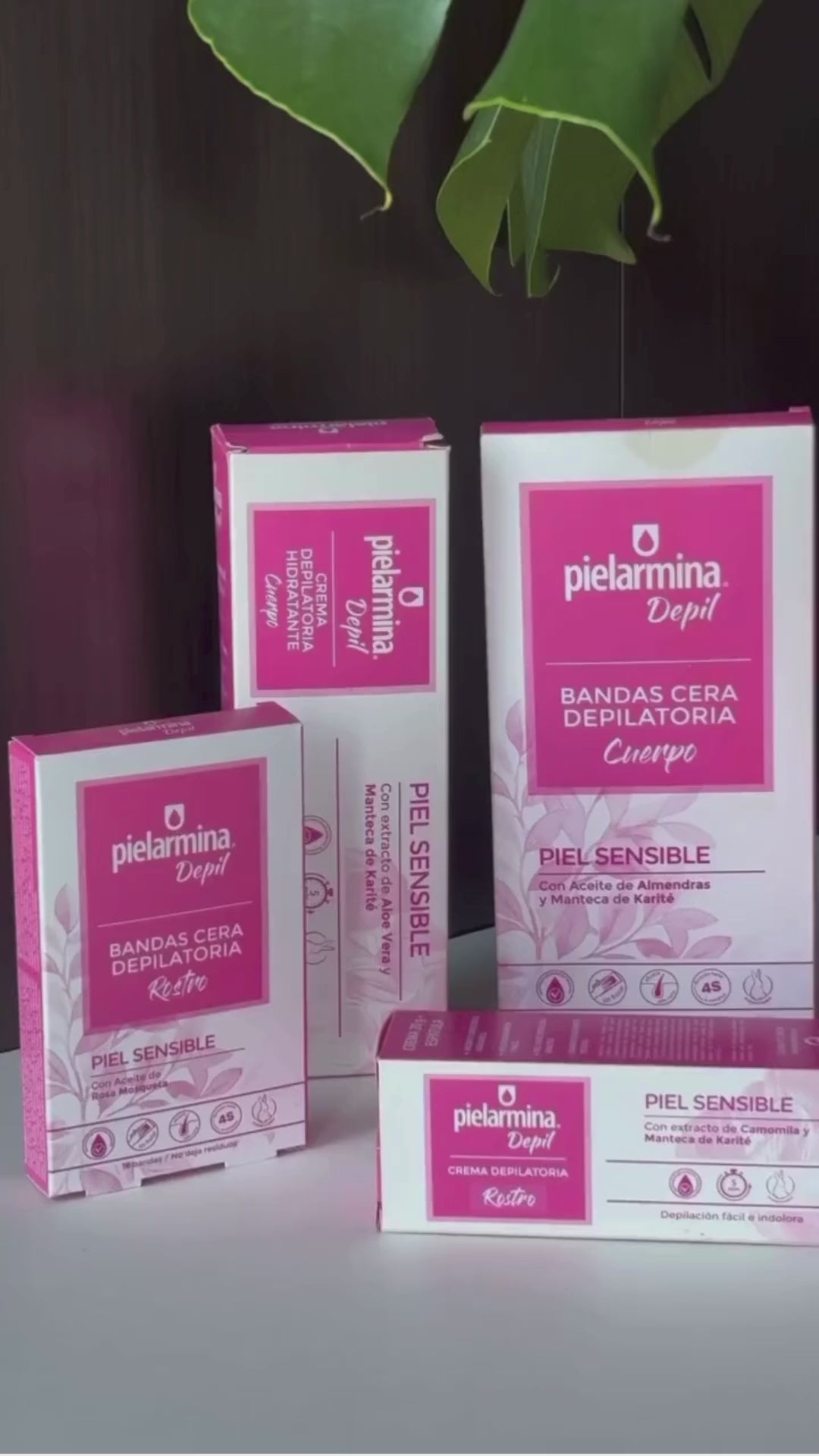 Crema Depilatoria de Rostro Pielarmina Depil
